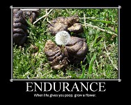 Motivational Poster