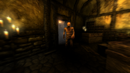 Amnesia The Dark Descent CS "The Scares"