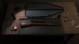 Gun_Scene