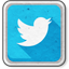 icon_small_twitter