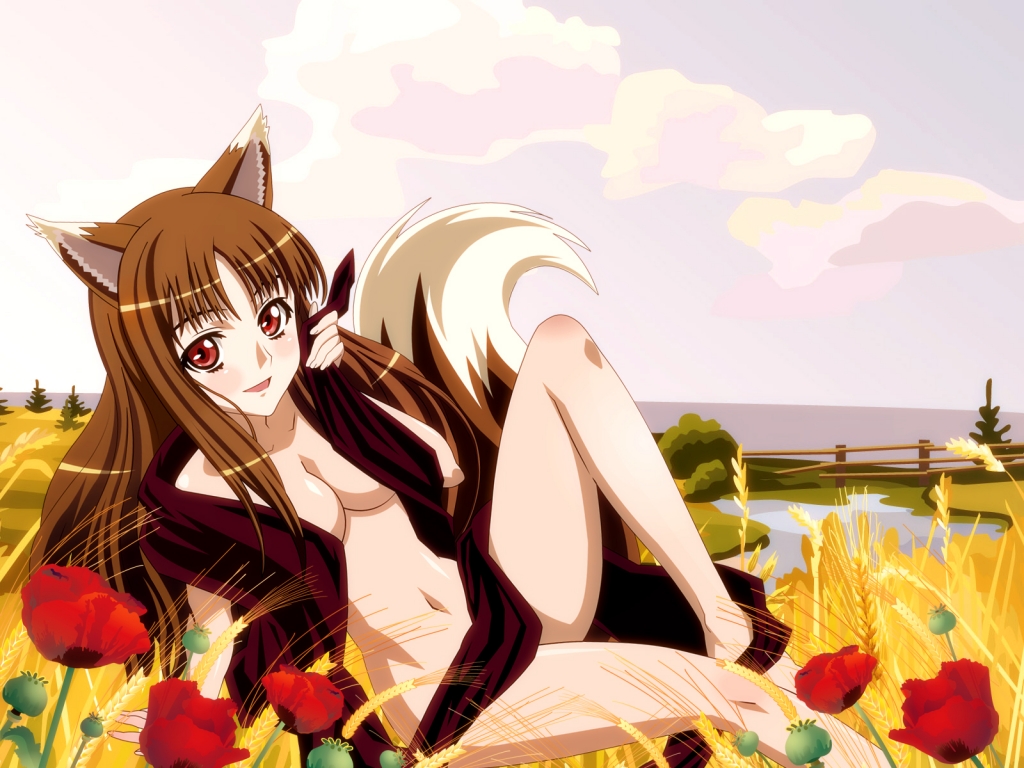 Horo_39570_1024x768theAnimeGallery.com.j