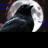 Raven52