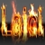 Lajci