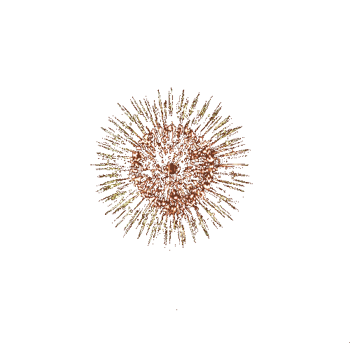 Fireworks.4.gif