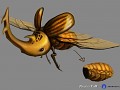 Desert Beetle 