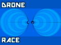 Introducing Drone Race