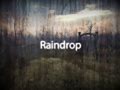 Raindrop has gone indie