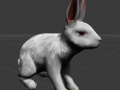 Rabbit Character  Update