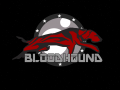 Bloodhound update 1