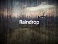 Raindrop Source Release!