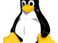 OCEAN Demo Linux Installation