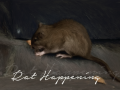 Rat Happening released
