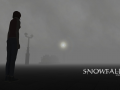 A First Look into the Snowfall Project