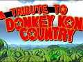 A Tribute To Donkey Kong Country is released!