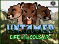 Untamed: Life of a Cougar beta 3.0.1 is here on Indiedb