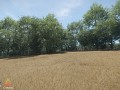 Field report 19: Graphical Updates