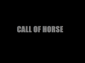 Call Of Horse Released late!