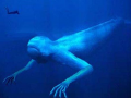 Enter Thalassophobia - A horror experience in the depths of the sea.