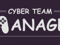 Cyber Team Manager's / Steam Early Access update 09.07.2016