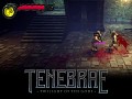 Tenebrae DevLog - Entry #08