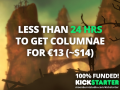 Less than 15 hours to back COLUMNAE: 100% Funded and Greenlit on Steam
