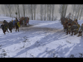 Vikingr Community Release: Finally ported to the newest version of Warband!