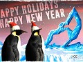 Happy Holidays! From Iceberg Interactive