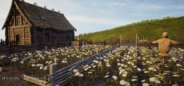 Reign of Guilds: weekly report #2