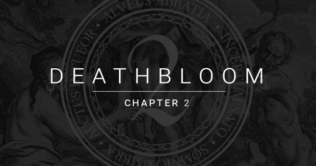 Launching in 2 weeks!