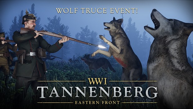  Wolves prowling in the forests of Tannenberg 