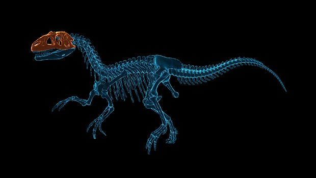 The assembly of dinosaur skeleton in Dinosaur Fossil Hunter