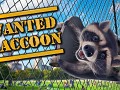 How we made Raccoon’s simulator !