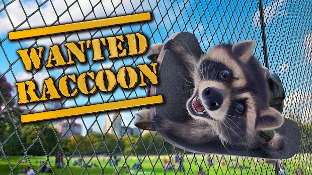 How we made Raccoon’s simulator !