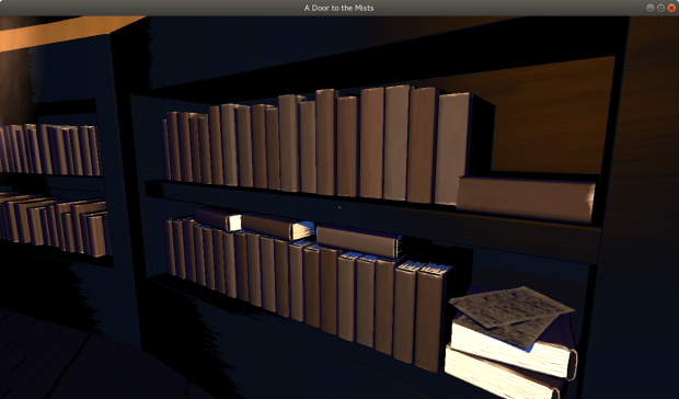 A Lived-In Library