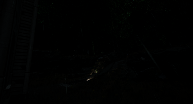 [Devlog] Weekly Update #Week1