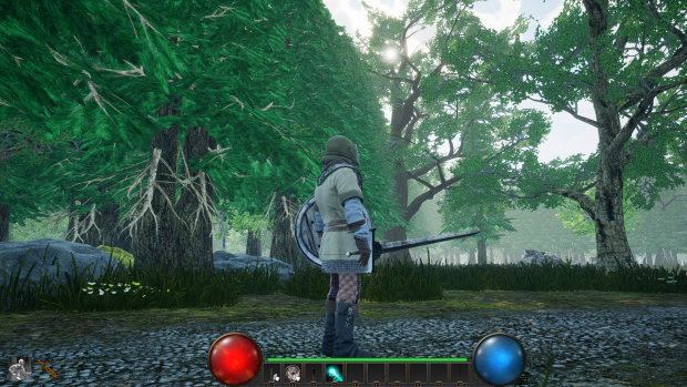 Optimization, Camera, and Forest Updates