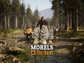Morels Anniversary Update Now Live!