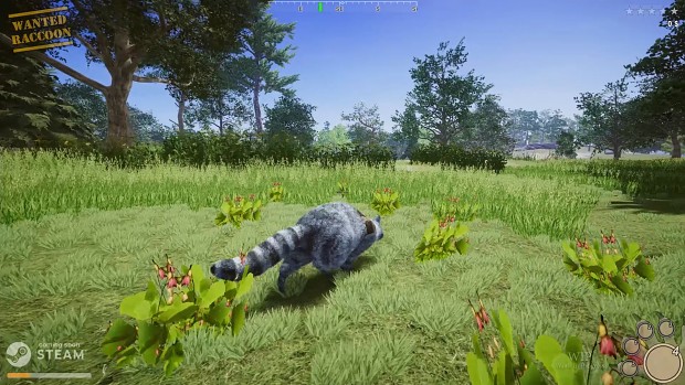 Wanted Raccoon - making trees in the game and some more news