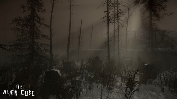 Snowy Map with Survival + Happy New Year!