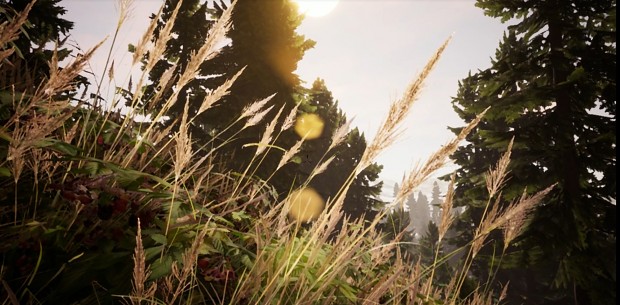 Development Log #1