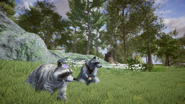 Announce of Wanted Raccoon Indie-game!