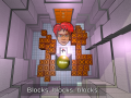 Top 5 reasons why my blocks are not soko-ban blocks