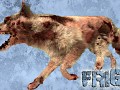 FRIGID - Stage 1 Infection Canis lupus