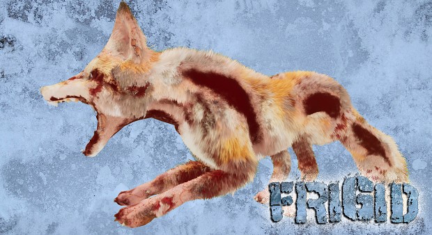 FRIGID - Stage 1 Infection Vulpes vulpes