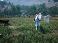 HORSES UPDATE NOW LIVE | Horses, Training, Bidding, New Hats and More!
