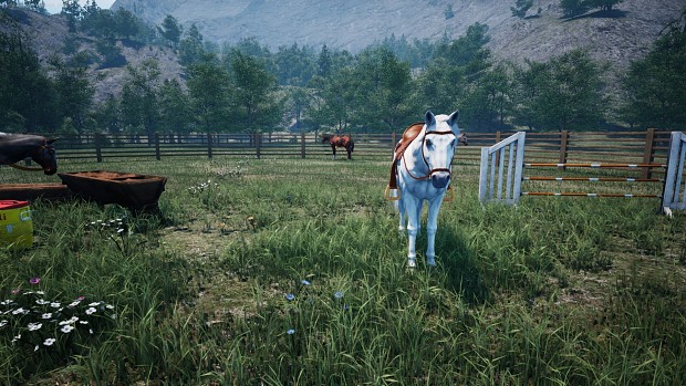 HORSES UPDATE NOW LIVE | Horses, Training, Bidding, New Hats and More!