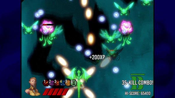 Bullet Hell Madness - Fire & Reign on Steam