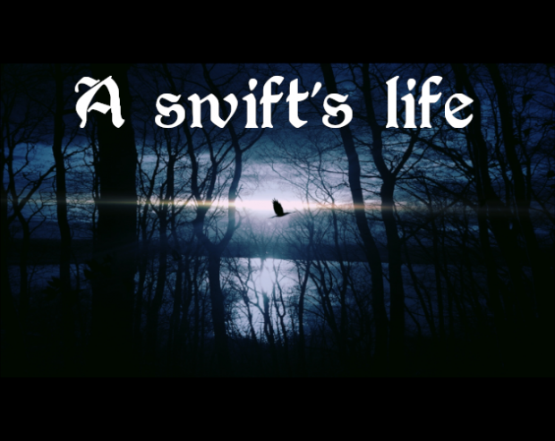 A swift's life