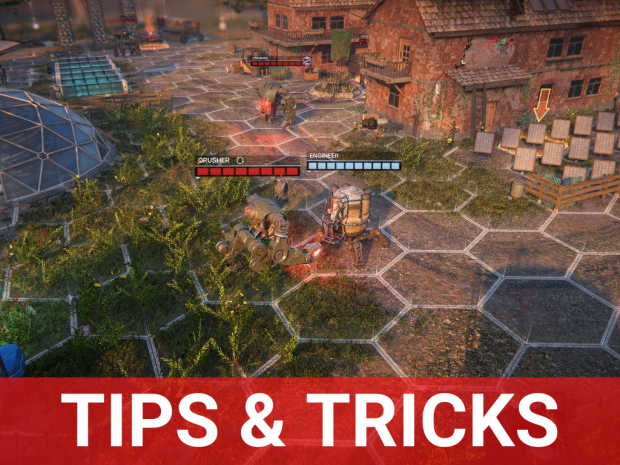 Become our champion in 10 easy (?) steps!