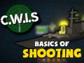 The Basics Of Shooting